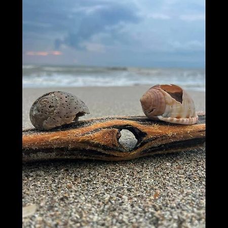Cocoa, Beach House ภายนอก รูปภาพ