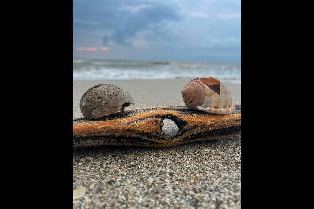 Cocoa, Beach House ภายนอก รูปภาพ