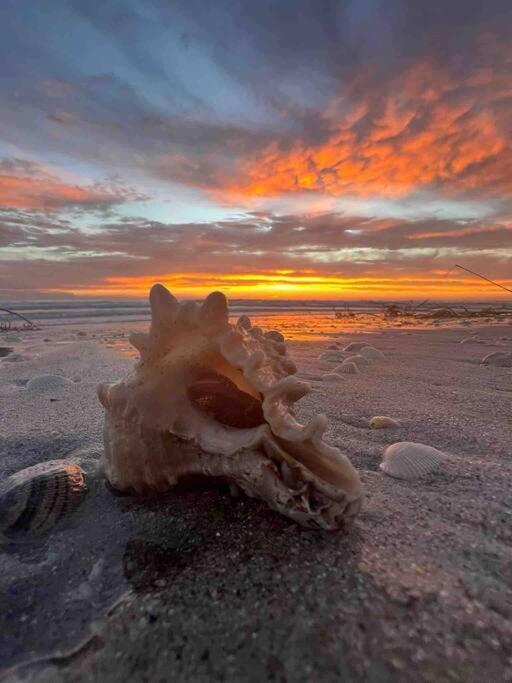 Cocoa, Beach House ภายนอก รูปภาพ